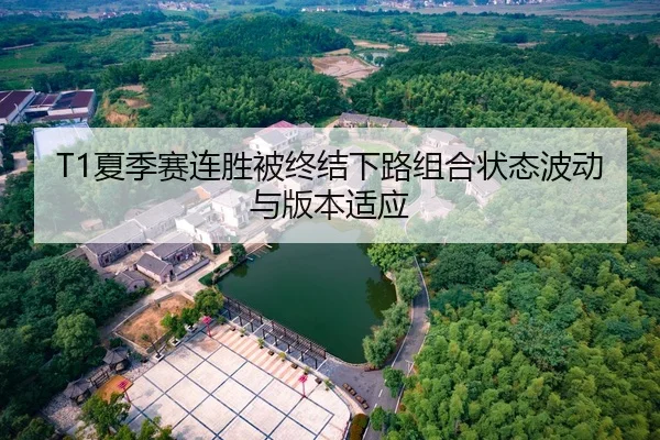 T1夏季赛连胜被终结下路组合状态波动与版本适应